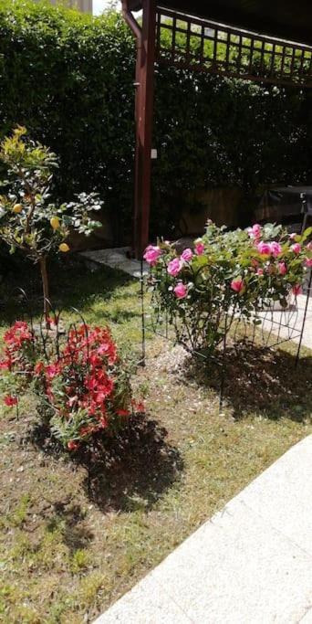 Appartamento Tra Il Borgo E Il Lago أنغويلارا سابازيا المظهر الخارجي الصورة
